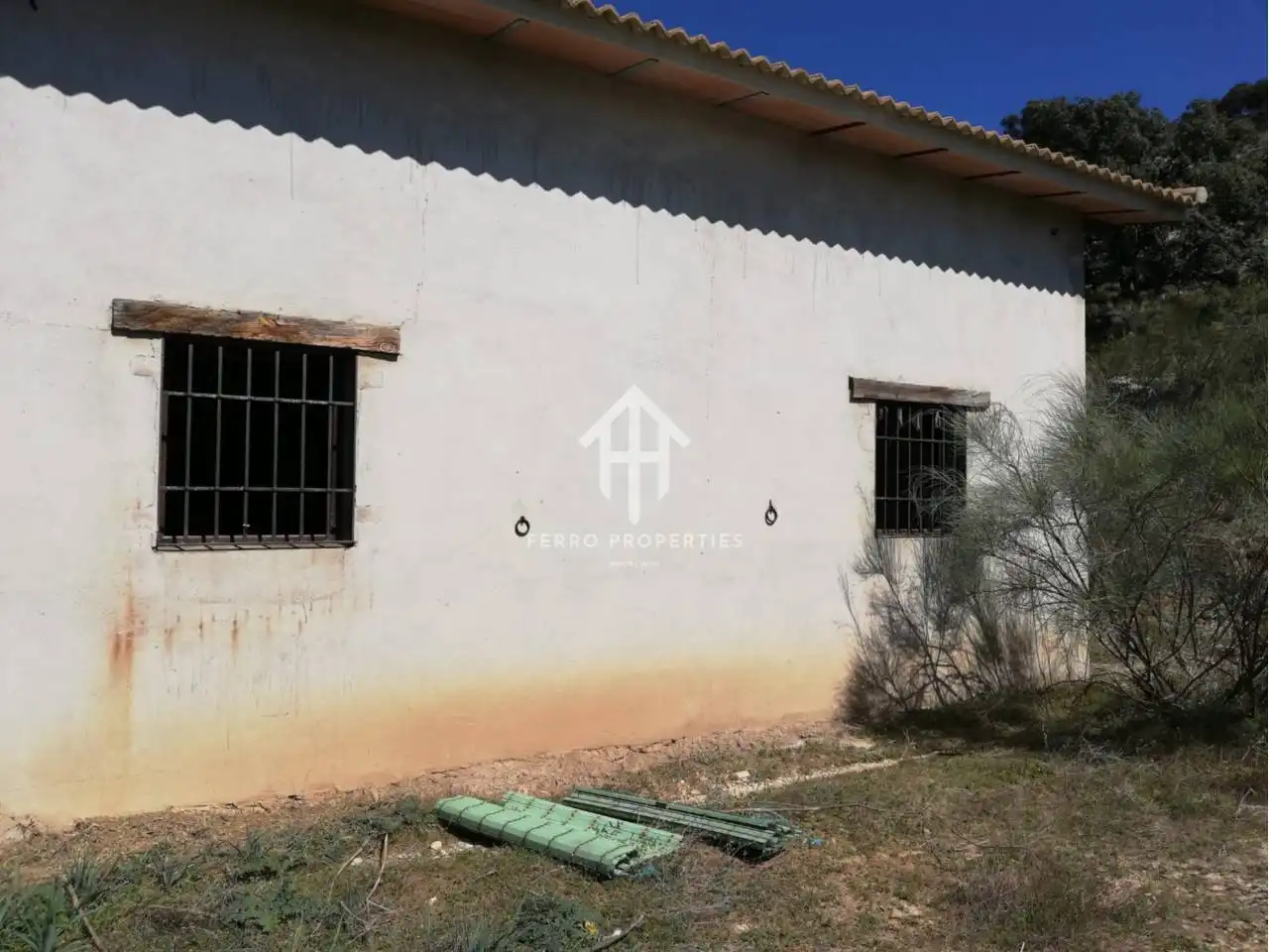 Vista exterior de Finca rústica en venta en Zagra