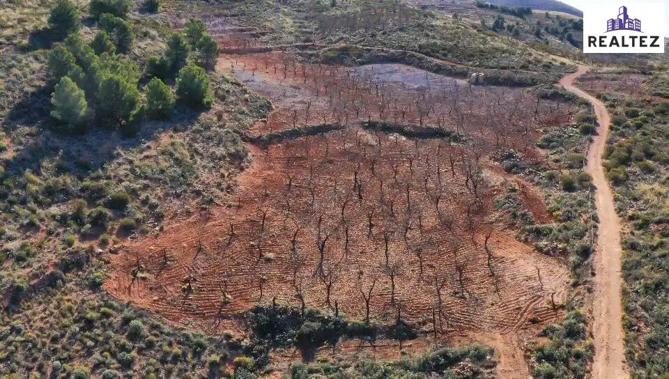 Terrain rustique à vendre à Alcolea, imagen 3