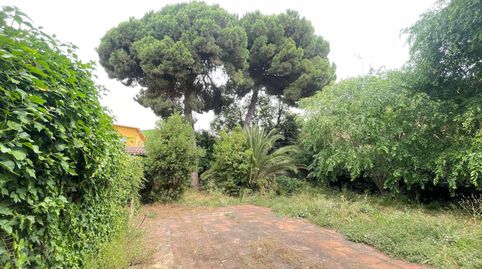 Photo 4 of Residential for sale in Centre - Nucli Antic, Premià de Mar