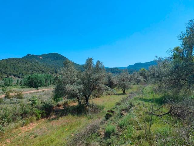 Terreno en Venta en Ráfales