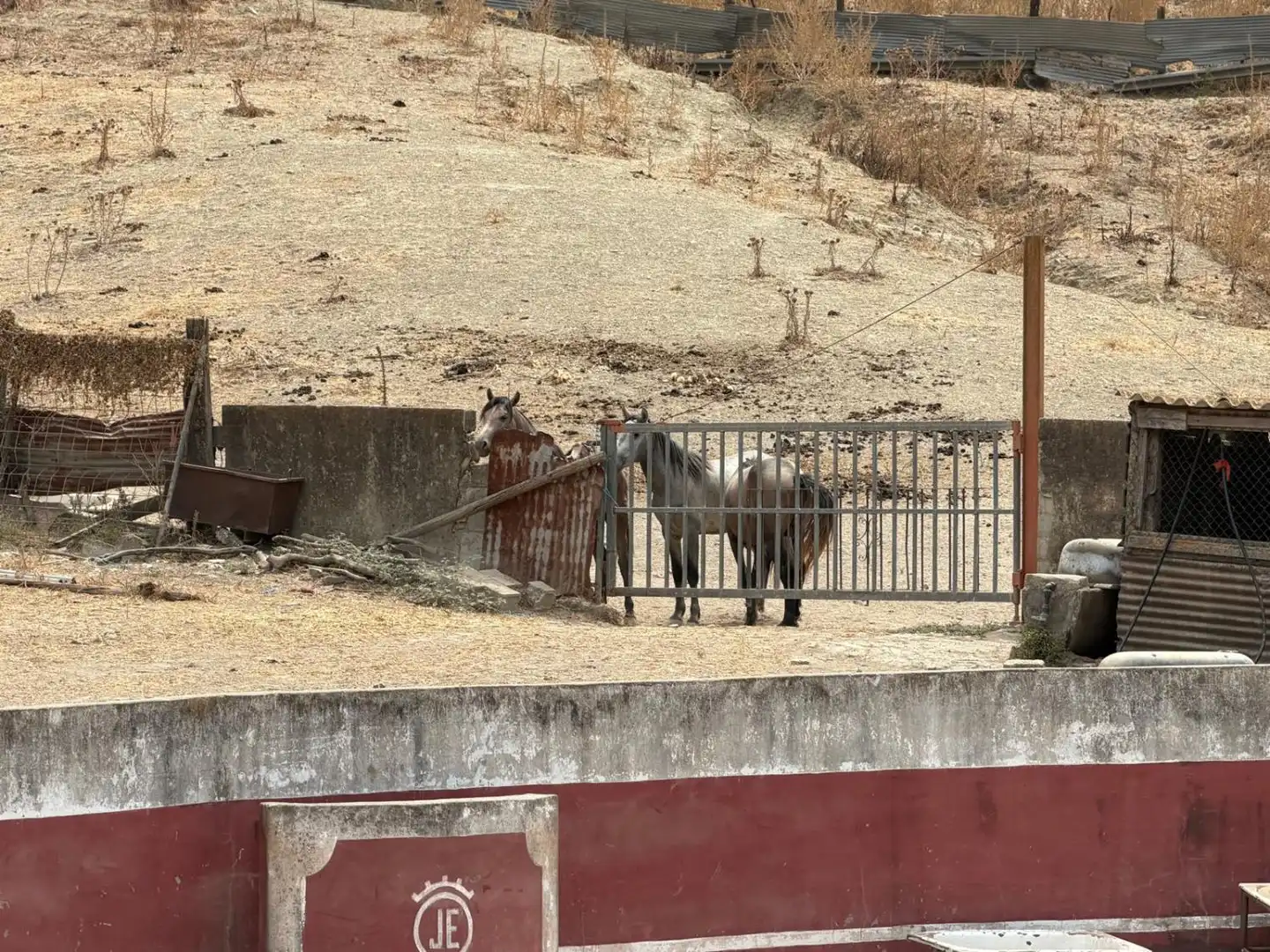 Casa rústica en venta en San Martín del Tesorillo, imagen 12