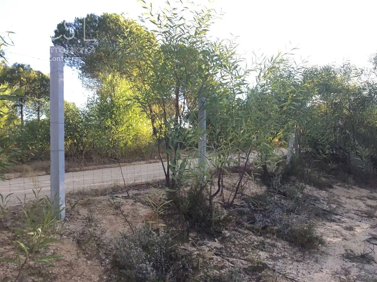 Terreni e lotti in vendita a Almonte ciudad, imagen 17