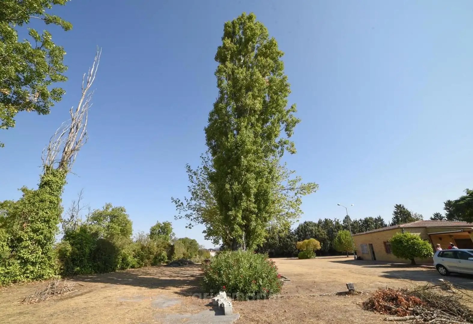 Garten von Residential zum Verkauf in Salamanca