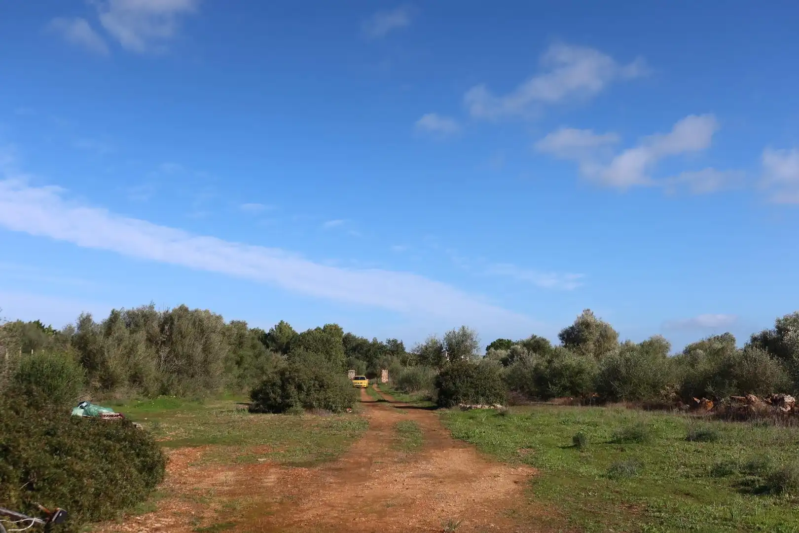 Residential land for sale in Campos poble, imagen 19