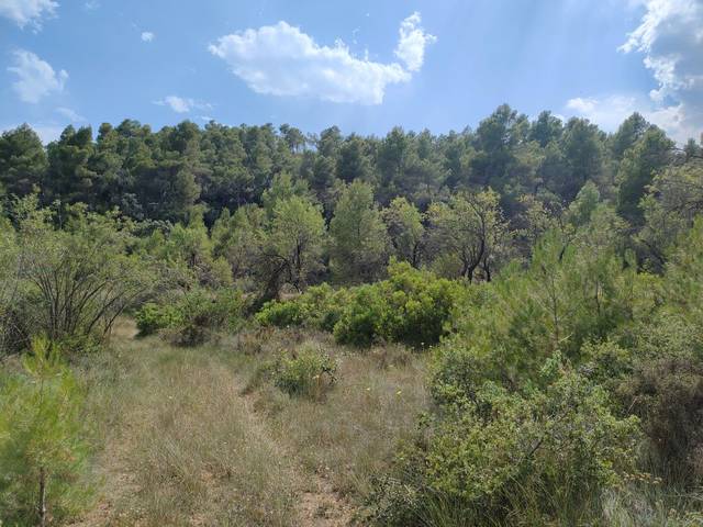 Terreno en Venta en N/A, -1 en La Fresneda