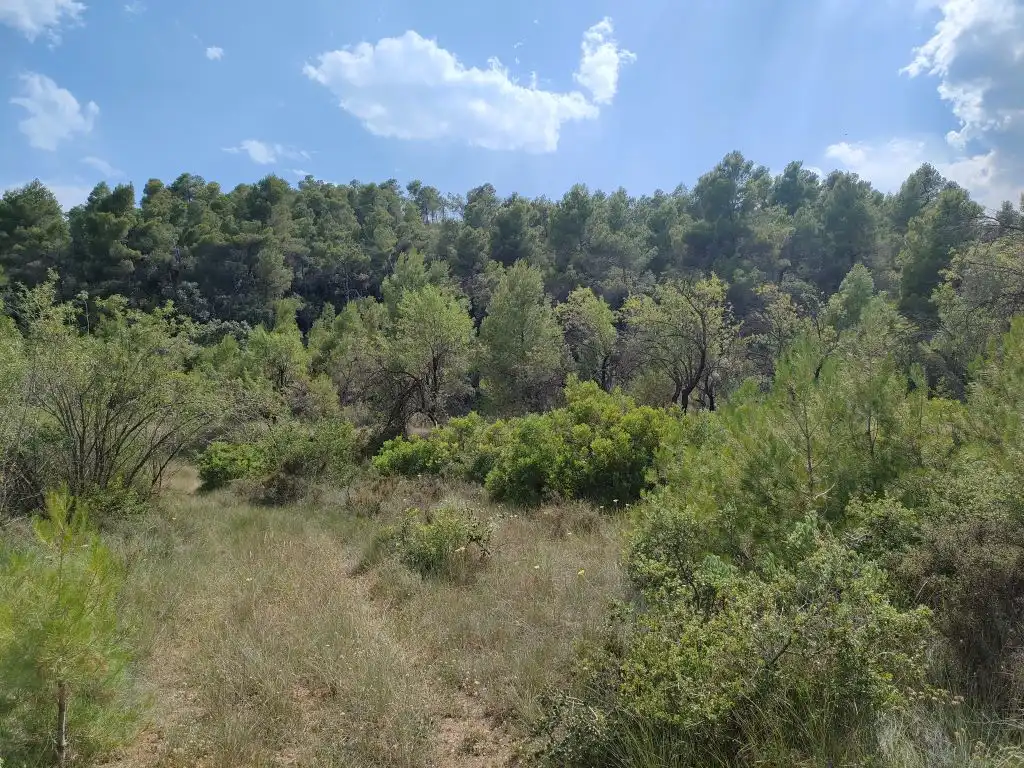 Terreni e lotti in vendita a La Fresneda