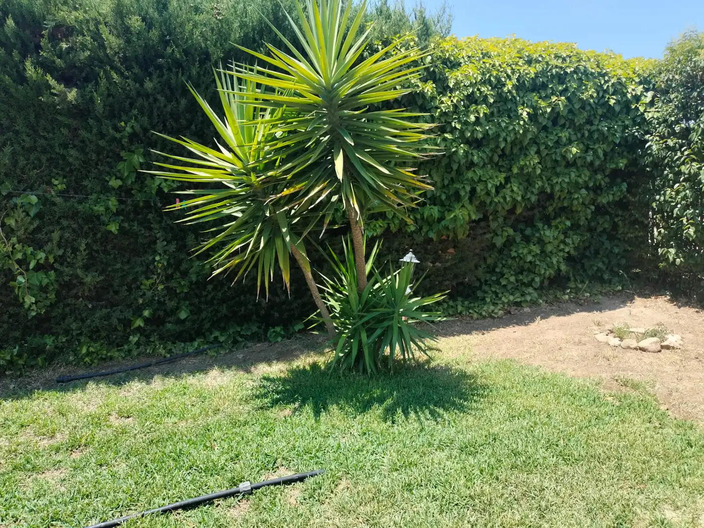 Jardín de Casa o chalet en venta en Úbeda con Aire acondicionado, Jardín privado y Terraza