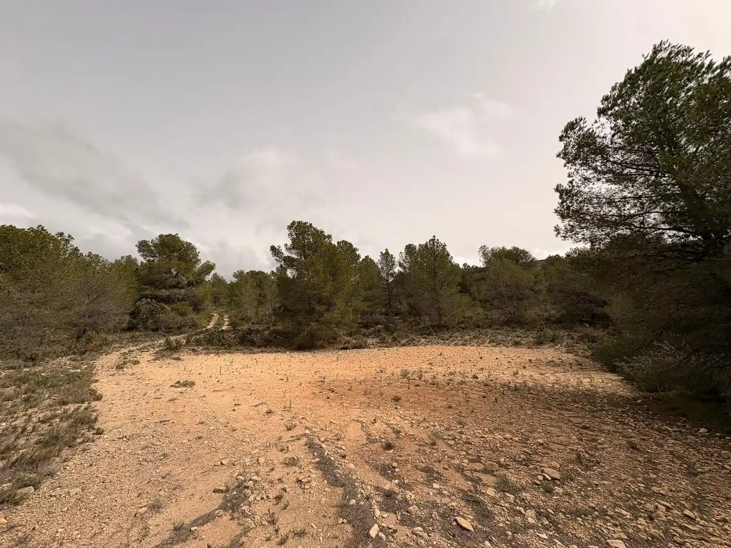 Wohnbaugrundstück zum Verkauf in Petrer, imagen 6