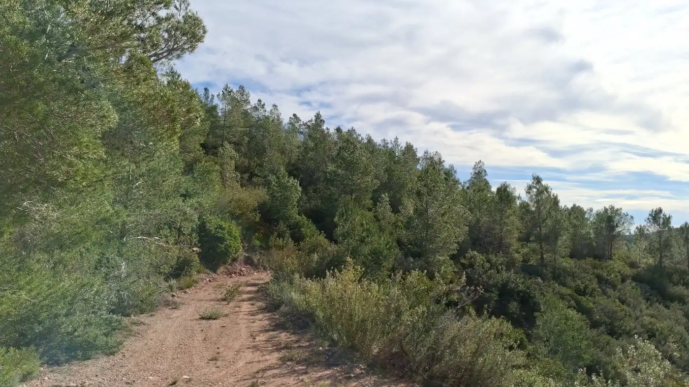 Terreno en venta en Pratdip