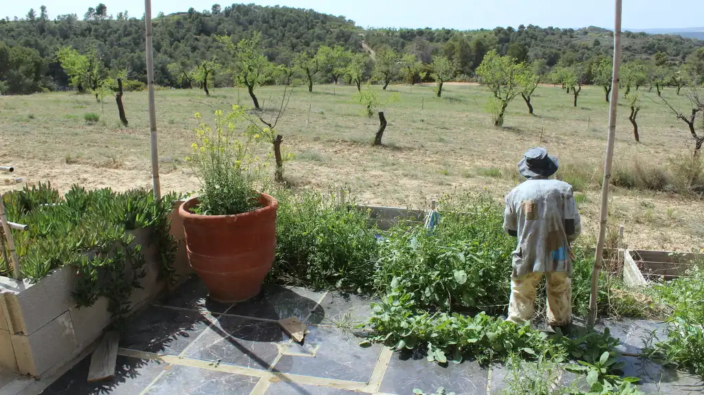 Jardí de Finca rústica en venda en Maella
