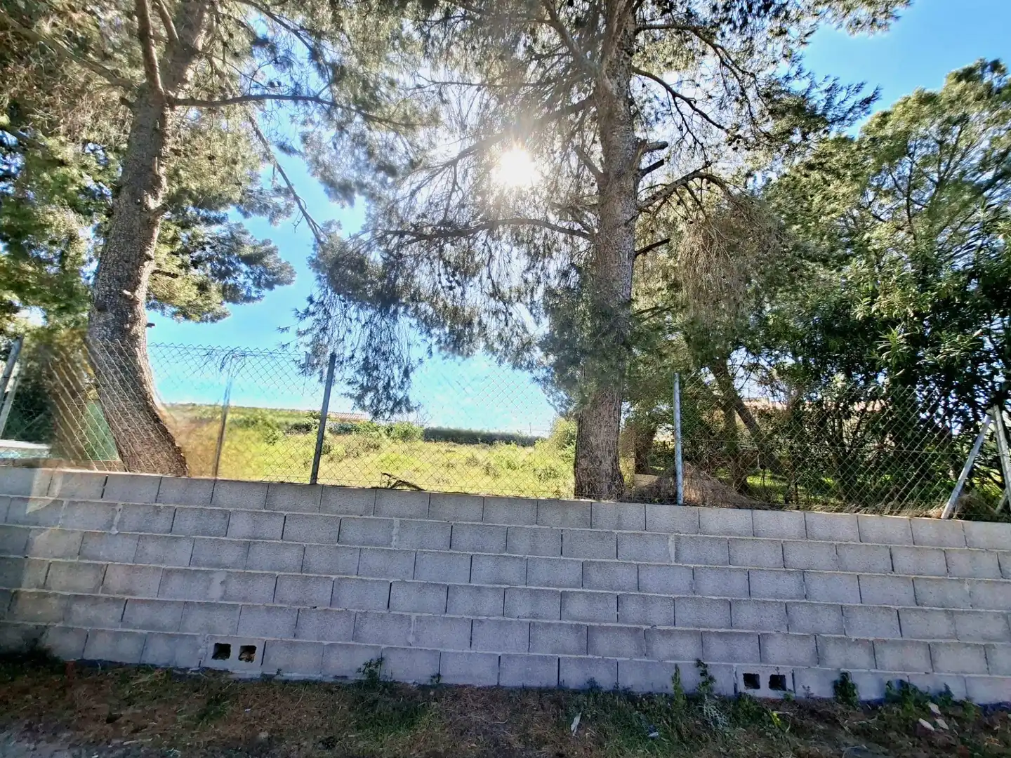 Terreno rustico in vendita a La Conarda - Montesano, imagen 9