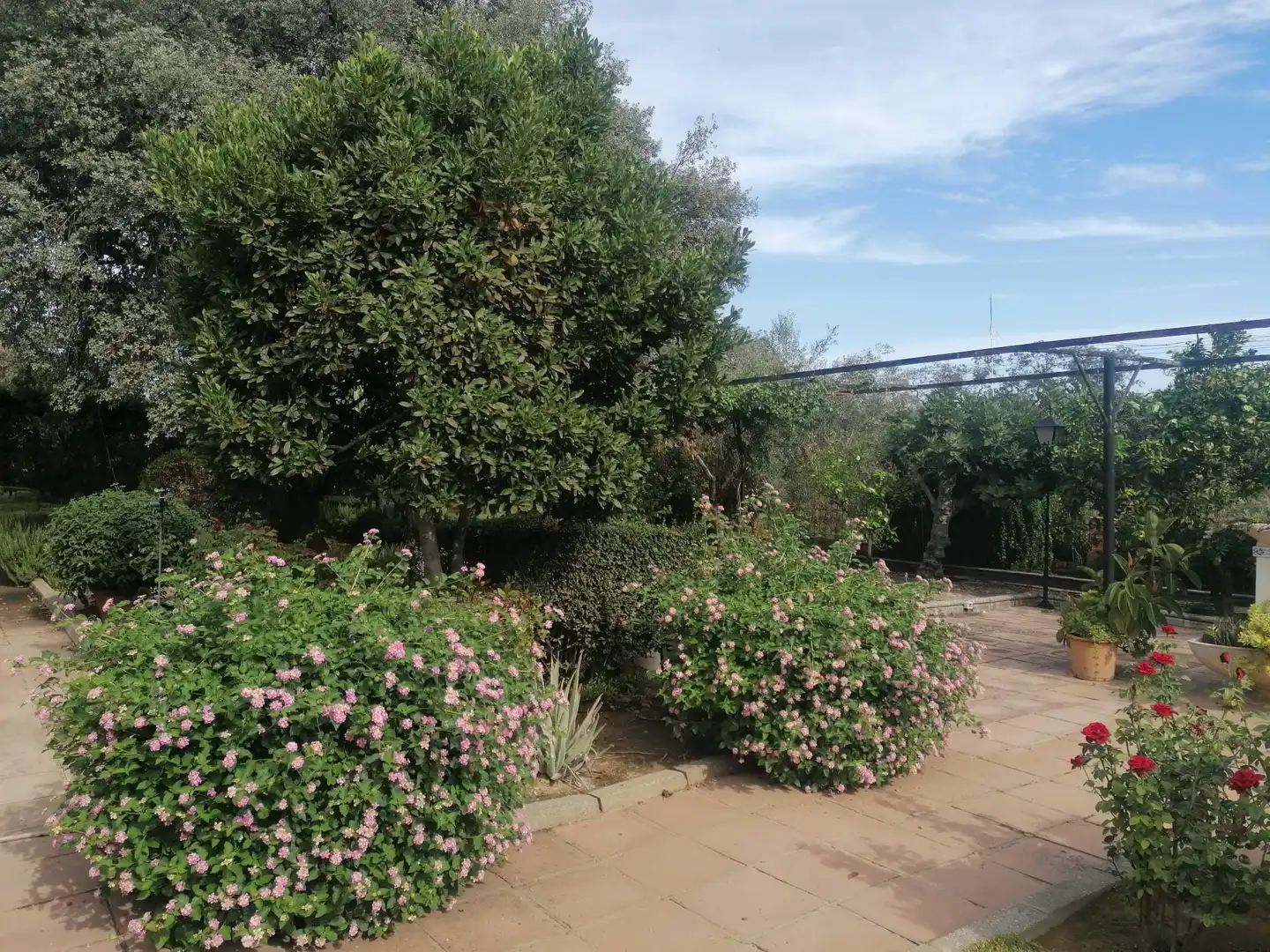 Villa mit Pool zum Verkauf in La Carlota, imagen 10