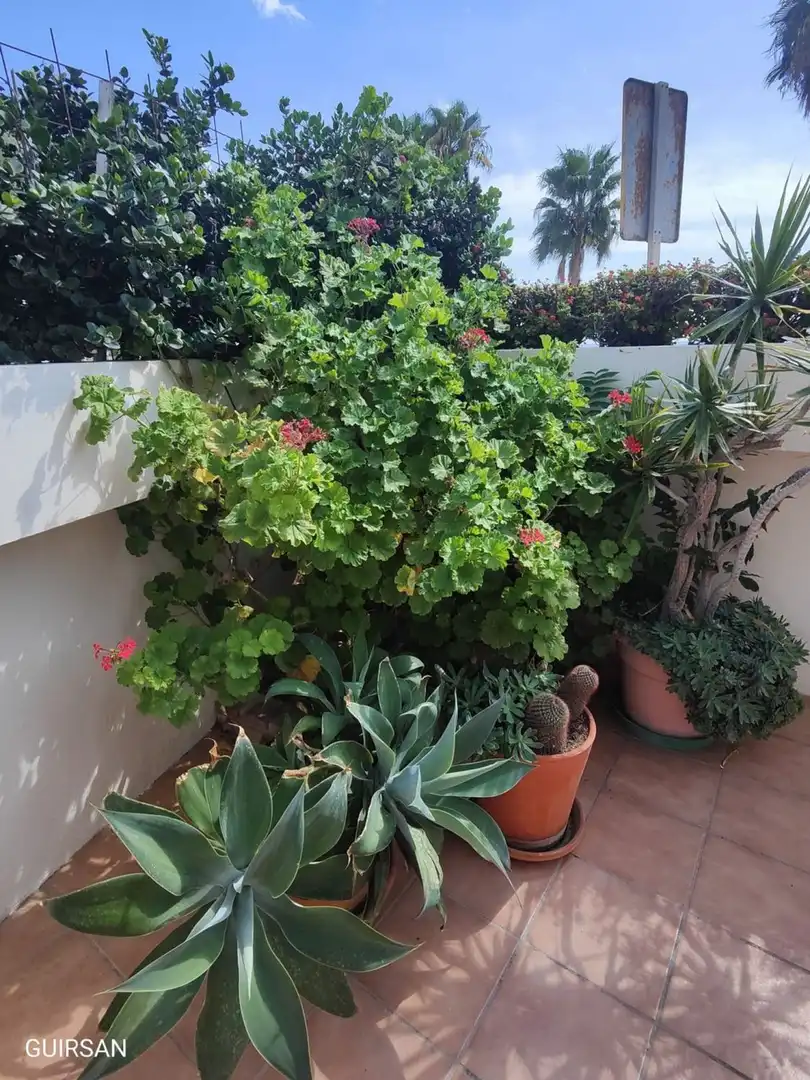 Wohnung mit Aufzug zur Miete in Paseo de Cotobro, imagen 17