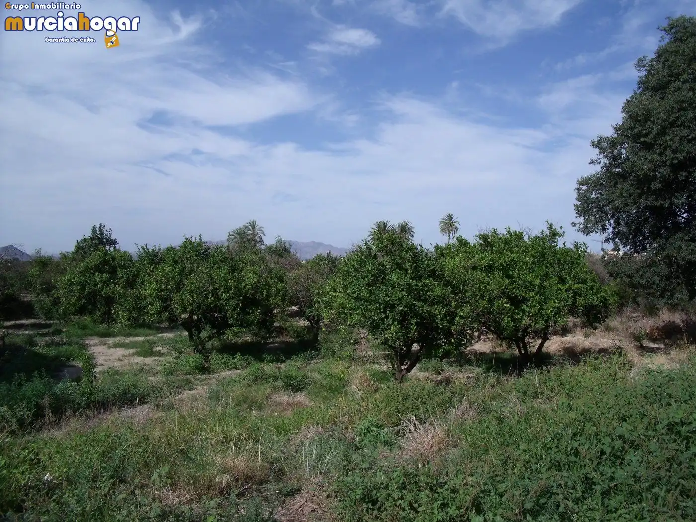 Terrenys i solars en venda a Pedanías Este