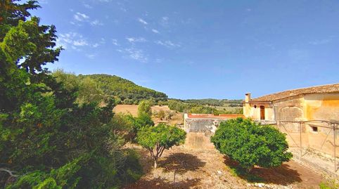 Gran casa de campo mallorquina de 2.000 m2 para restaurar con 55 hectáreas de terreno en Algaida, imatge 3