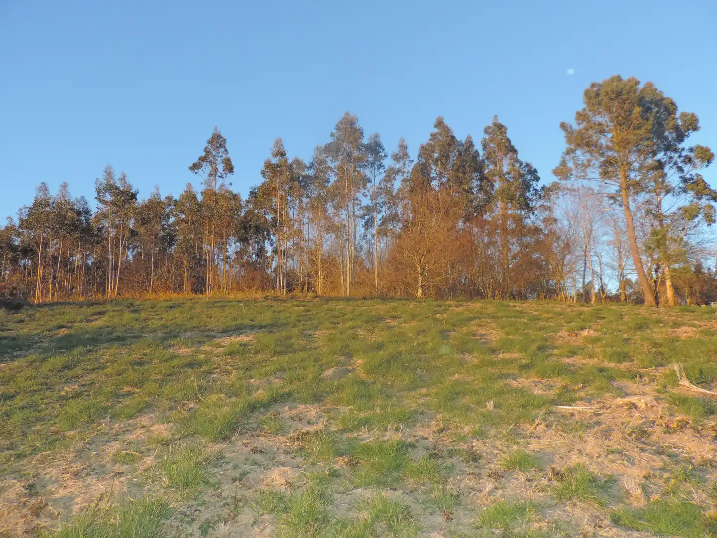 Residencial en venta en A Laracha  