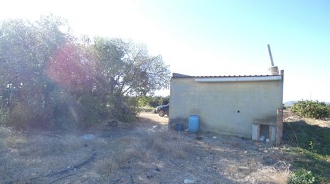 FINCA RUSTICA CON ALMACEN, imagen 3