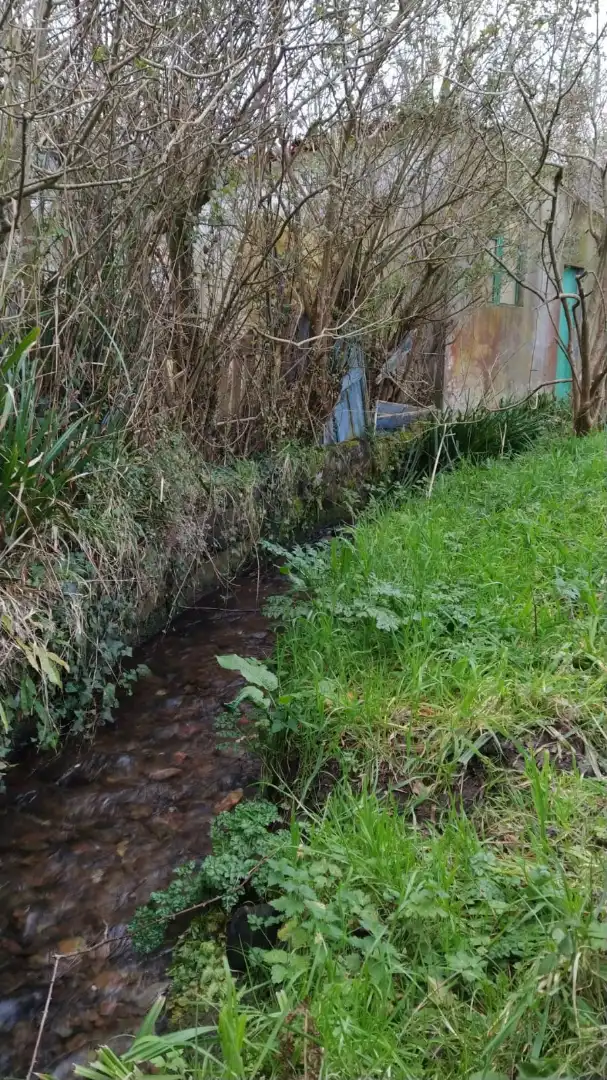 Nave industrielle à vendre à Rúa Pérez Lugín 29, imagen 13