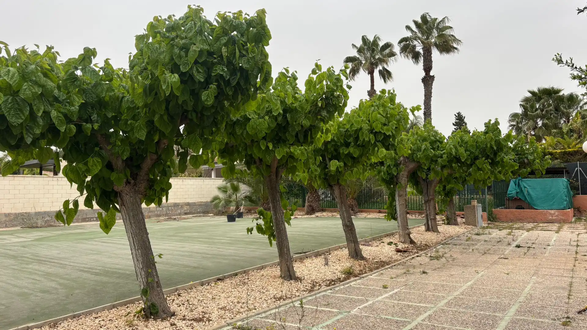 Jardí de Casa o xalet en venda en Elche / Elx amb Jardí privat, Terrassa i Piscina