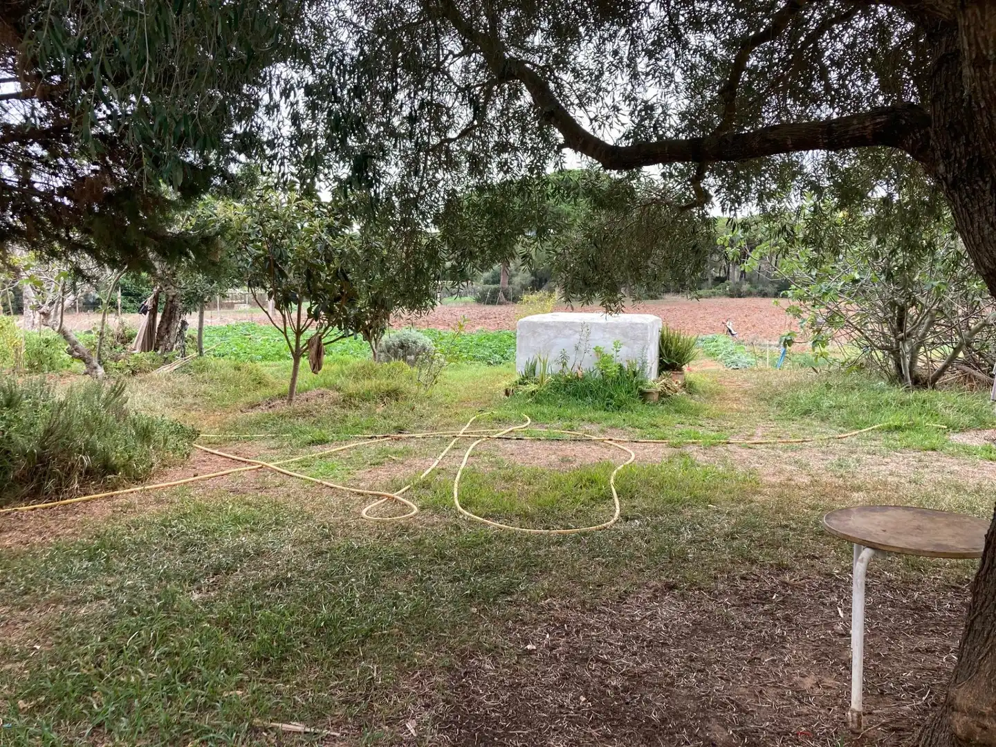 Casa rústica amb jardí en venda a Vejer, imagen 15
