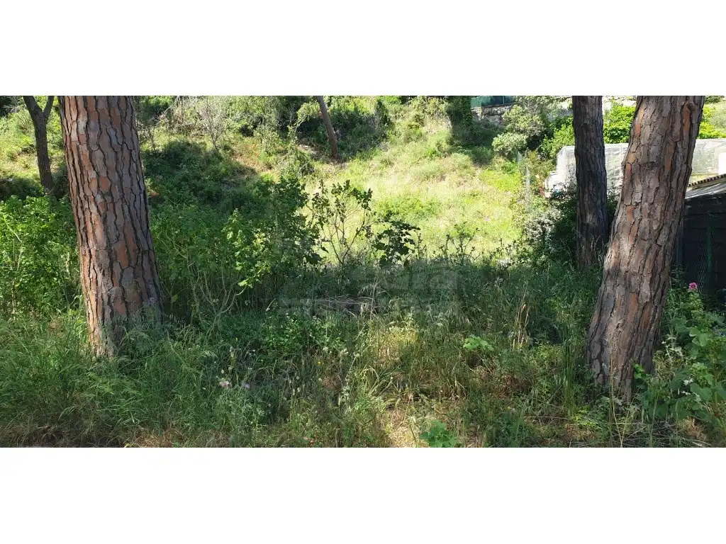 Residential for sale in Pals