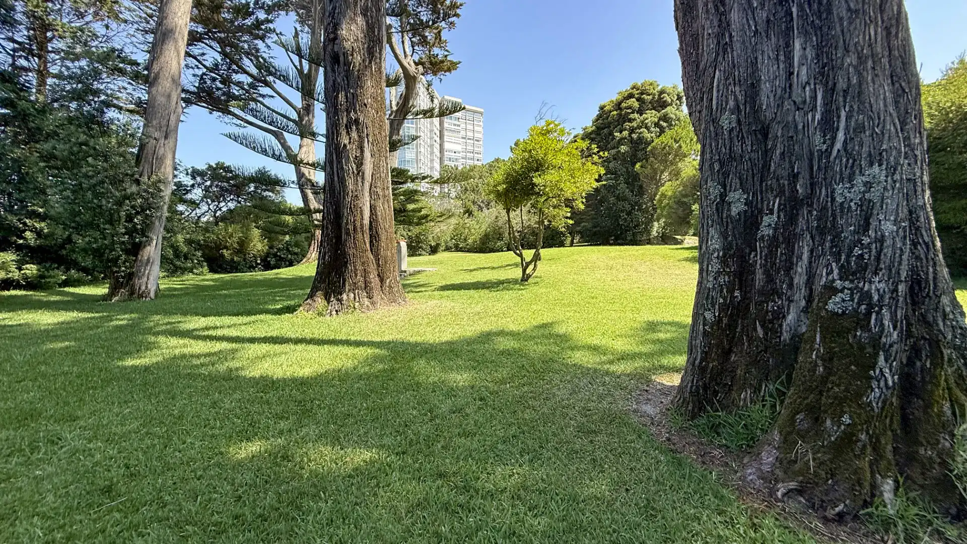 Vista exterior de Piso en venta en Vigo  con Calefacción, Jardín privado y Amueblado