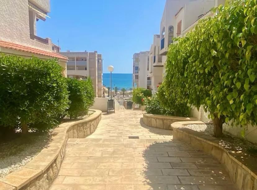 Exterior view of Apartment to rent in Elche / Elx  with Air Conditioner, Heating and Private garden
