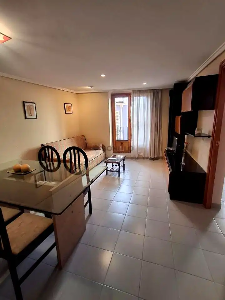 Living room of Flat for rent in Centro