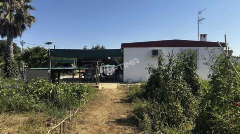 Finca con vivienda de 344 m y parcela de 3.325 m en Gibraleón Huelva, image 4