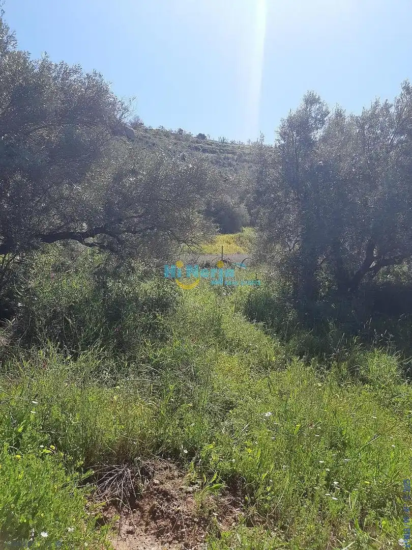 Terreni e lotti in vendita a Torrox Pueblo, imagen 23