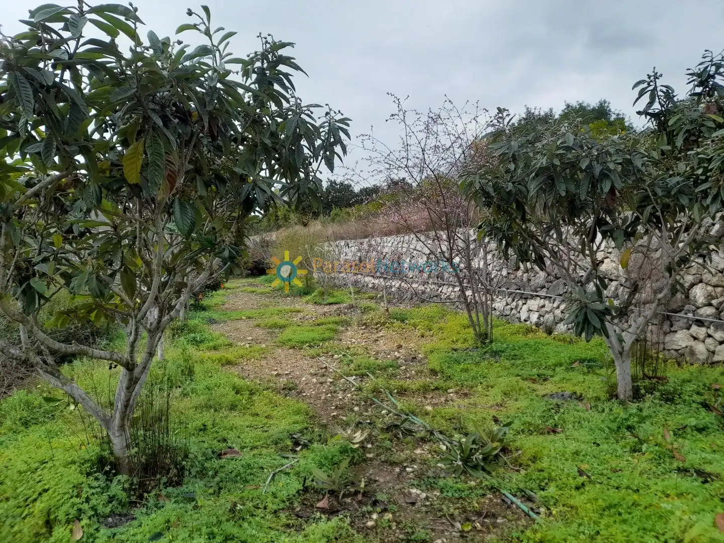 Villa avec piscine à vendre à Llocnou de Sant Jeroni, imagen 41