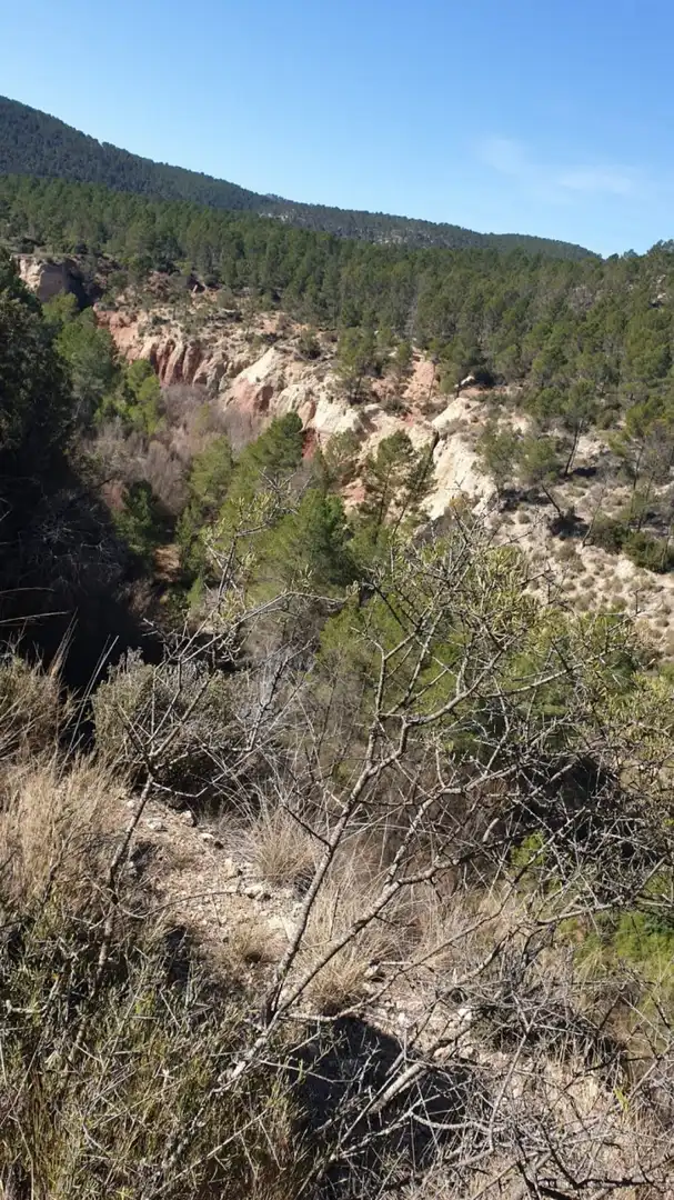 Terrain résidentiel à vendre à Requena, imagen 19