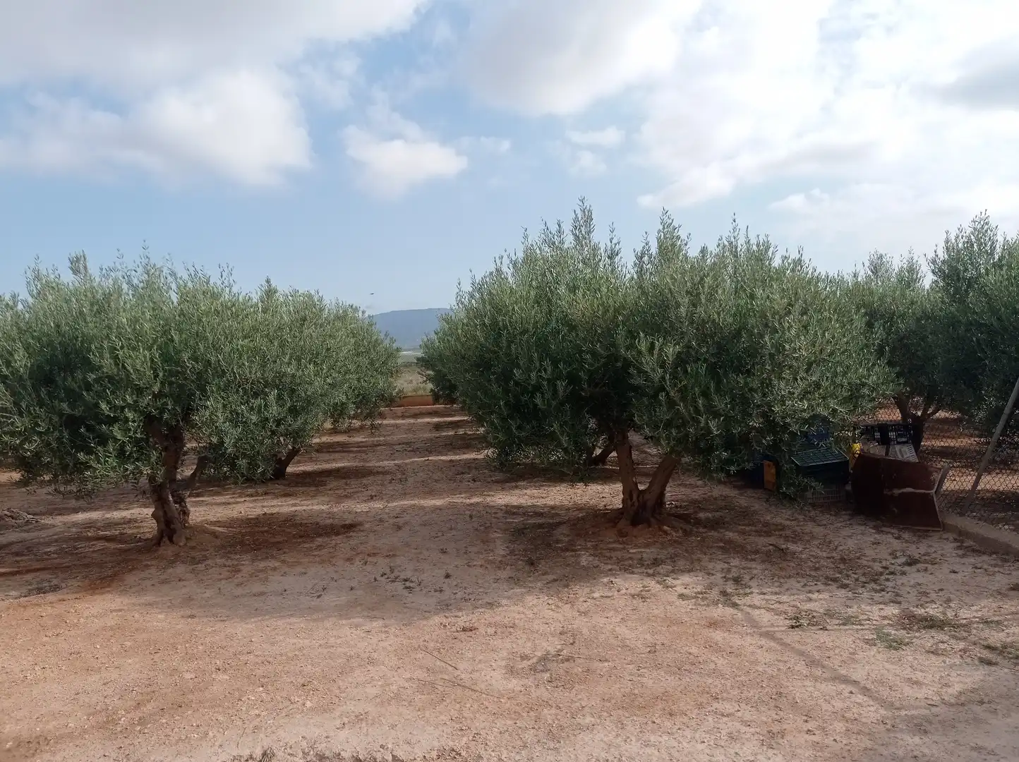 Finca rústica en venta en Fuente Álamo de Murcia con Calefacción, Jardín privado y Piscina