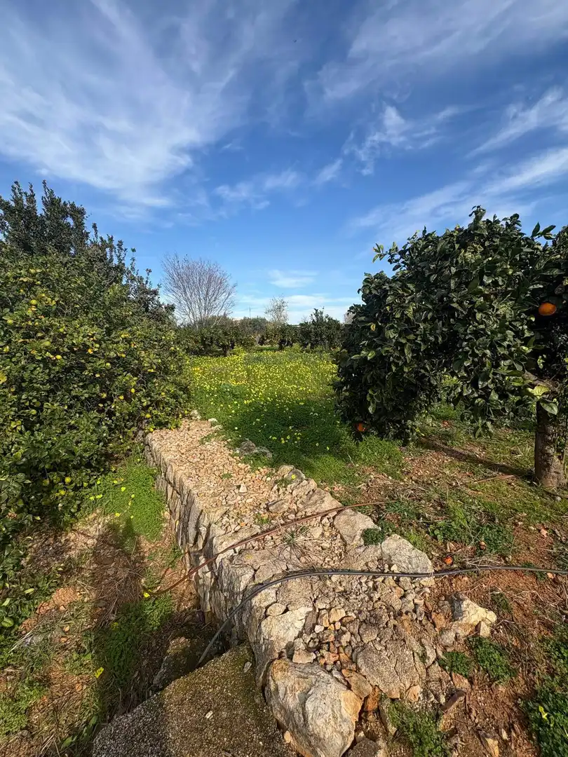 Terreny residencial en venda a La Xara - La Sella, imagen 11