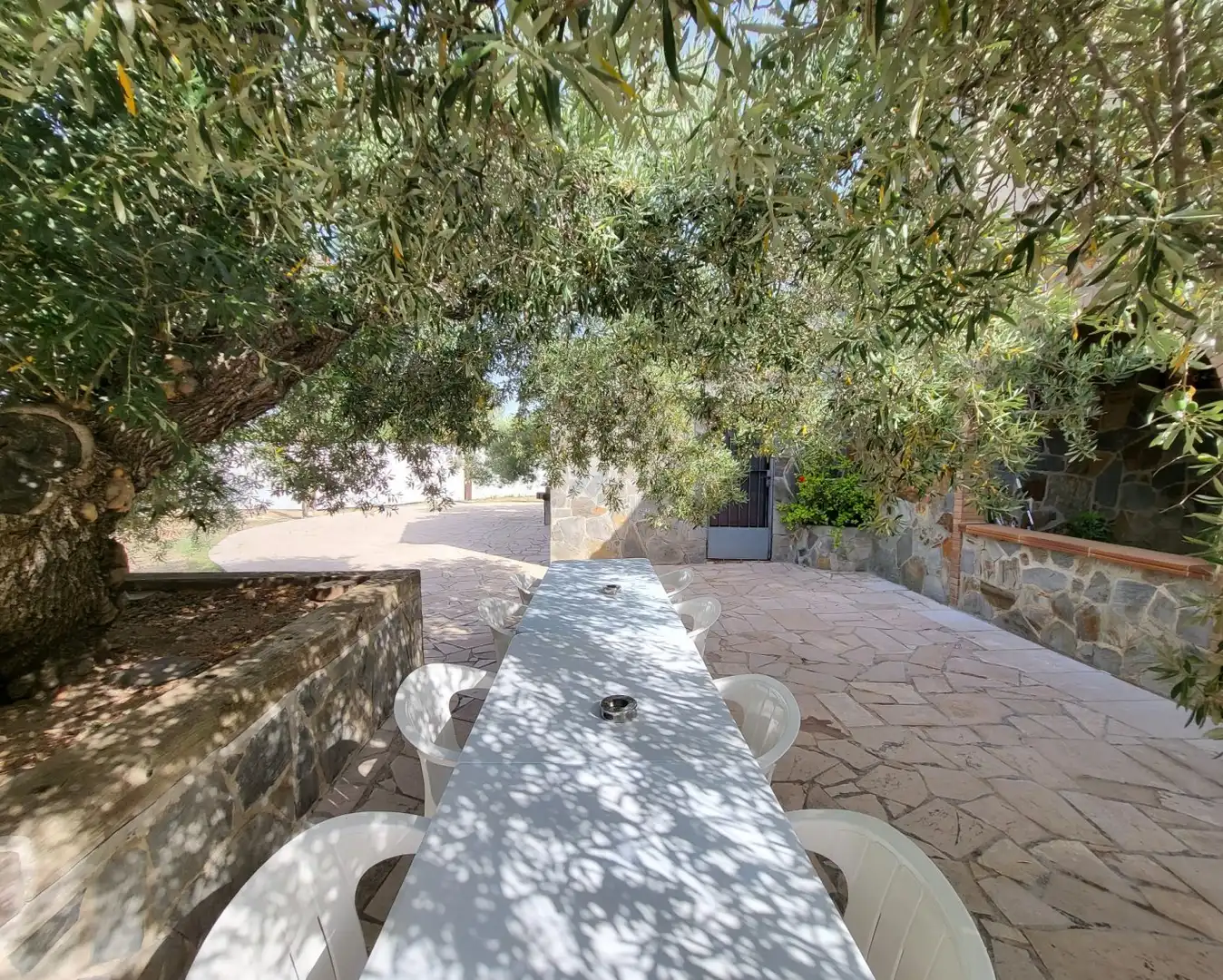 Jardí de Finca rústica en venda en L'Ametlla de Mar  amb Jardí privat, Terrassa i Traster