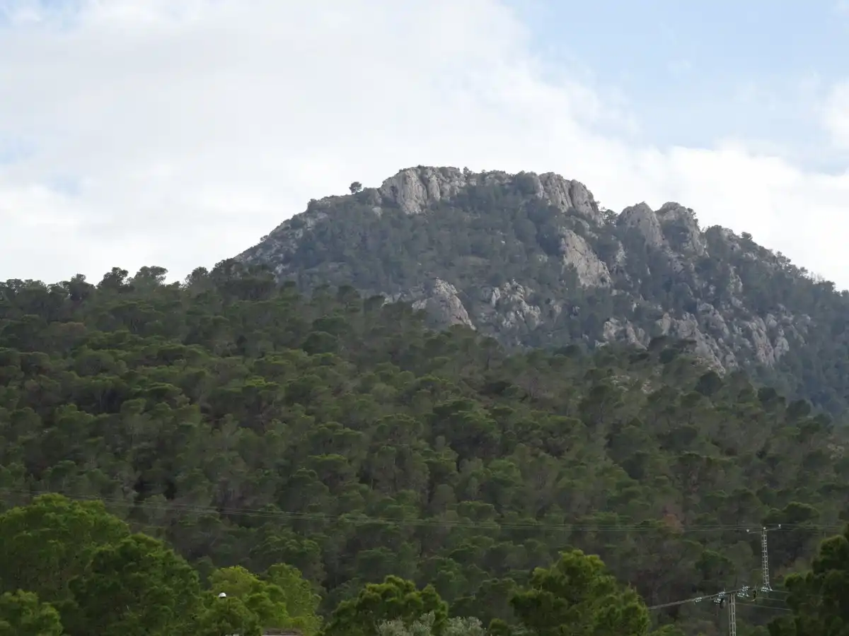 Vista exterior de Finca rústica en venda en Hondón de las Nieves / El Fondó de les Neus