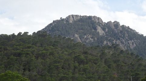 Photo 5 of Country homes for sale in Hondón de las Nieves / El Fondó de les Neus, Alicante