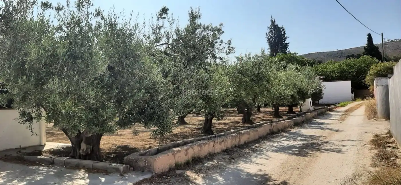 Terrain rustique à vendre à Carrer de l'Alcalde Paco Montes 43, imagen 8