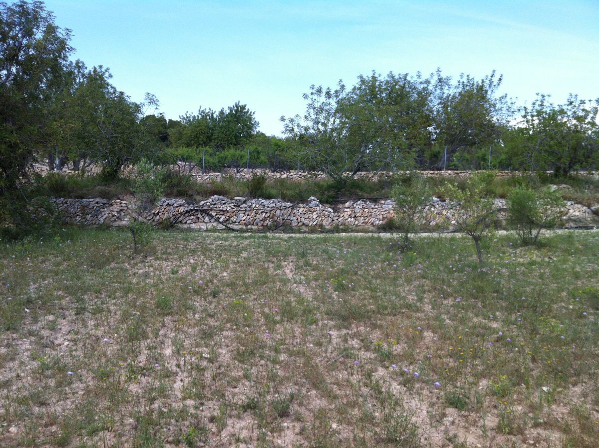 Residencial en venda en La Pobla de Montornès  