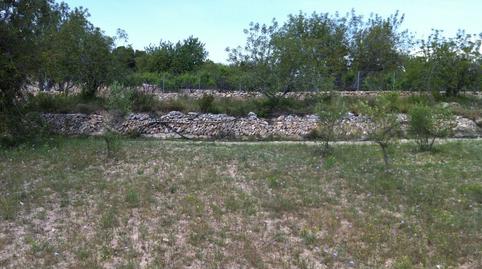 Foto 3 de Residencial en venda a Castell de Montornes, 1, La Pobla de Montornès  , Tarragona