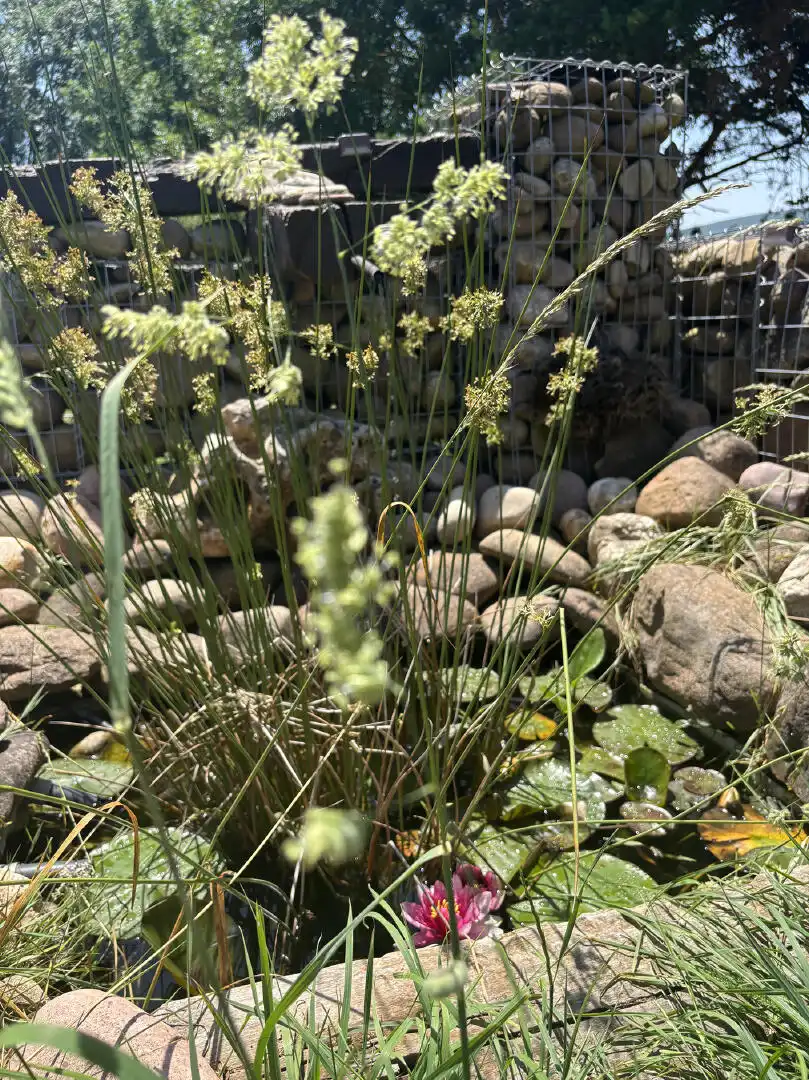 Jardí de Casa o xalet en venda en Las Rozas de Valdearroyo 