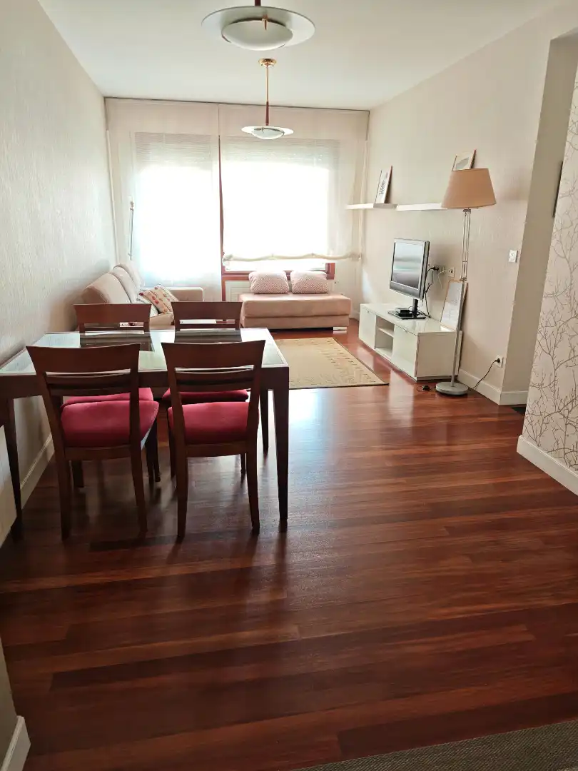 Sala de estar de Piso de alquiler en Bilbao  con Calefacción, Amueblado y Horno