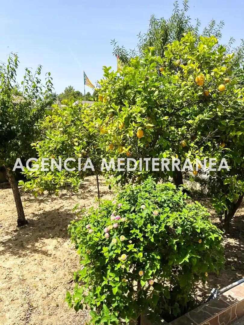 Chalet con piscina en venta en Montserrat, imagen 69