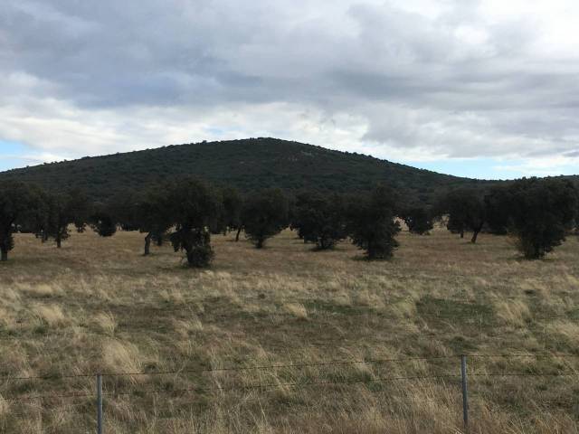 Terreno en Venta en  PERALEDA DEL ZAUCEJO en Esparragosa de la Serena