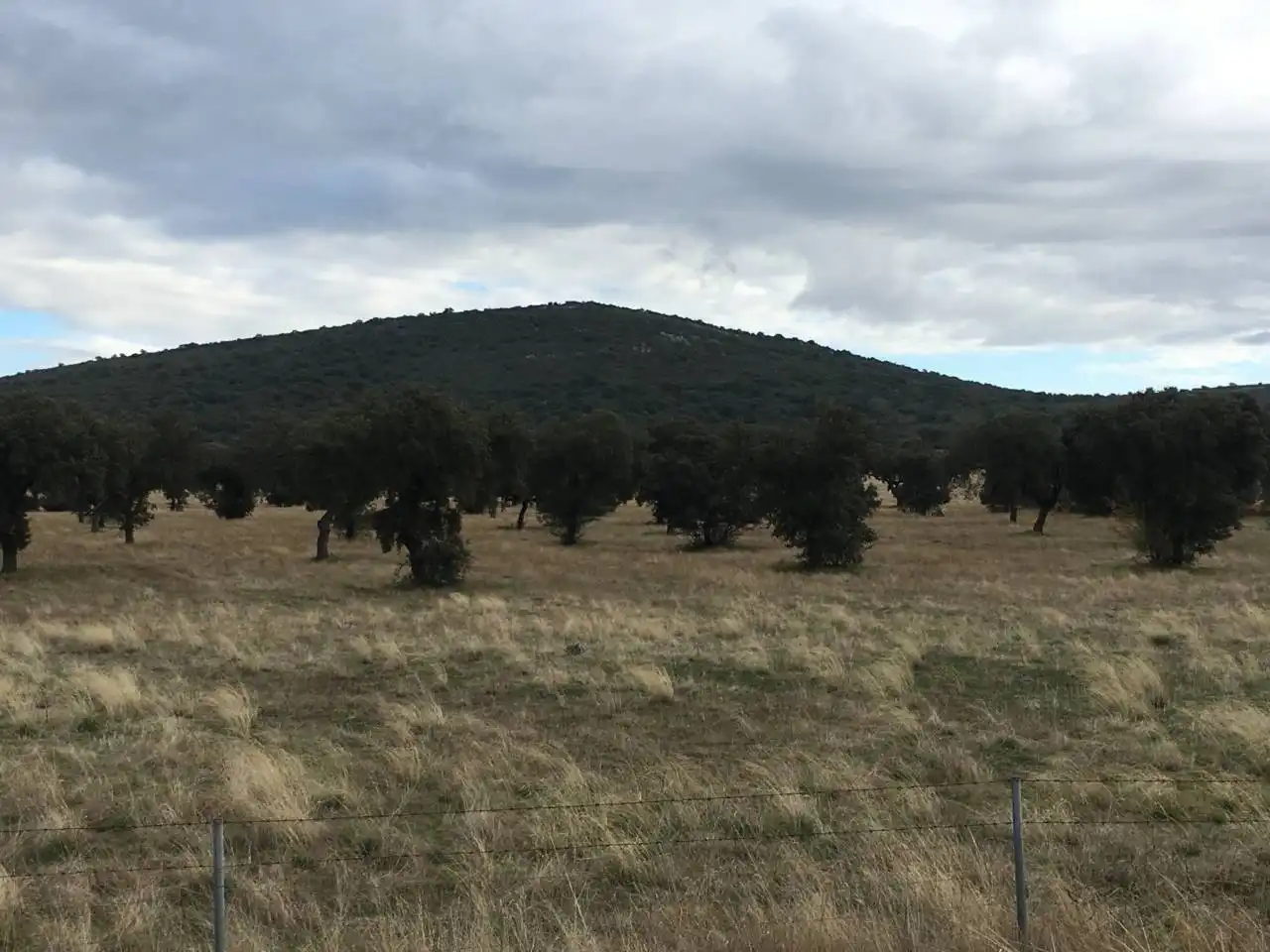 Terreny rústic en venda a Carretera  PERALEDA DEL ZAUCEJO