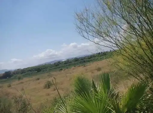 Rural land for sale in Pt Sc Sur-01, imagen 8