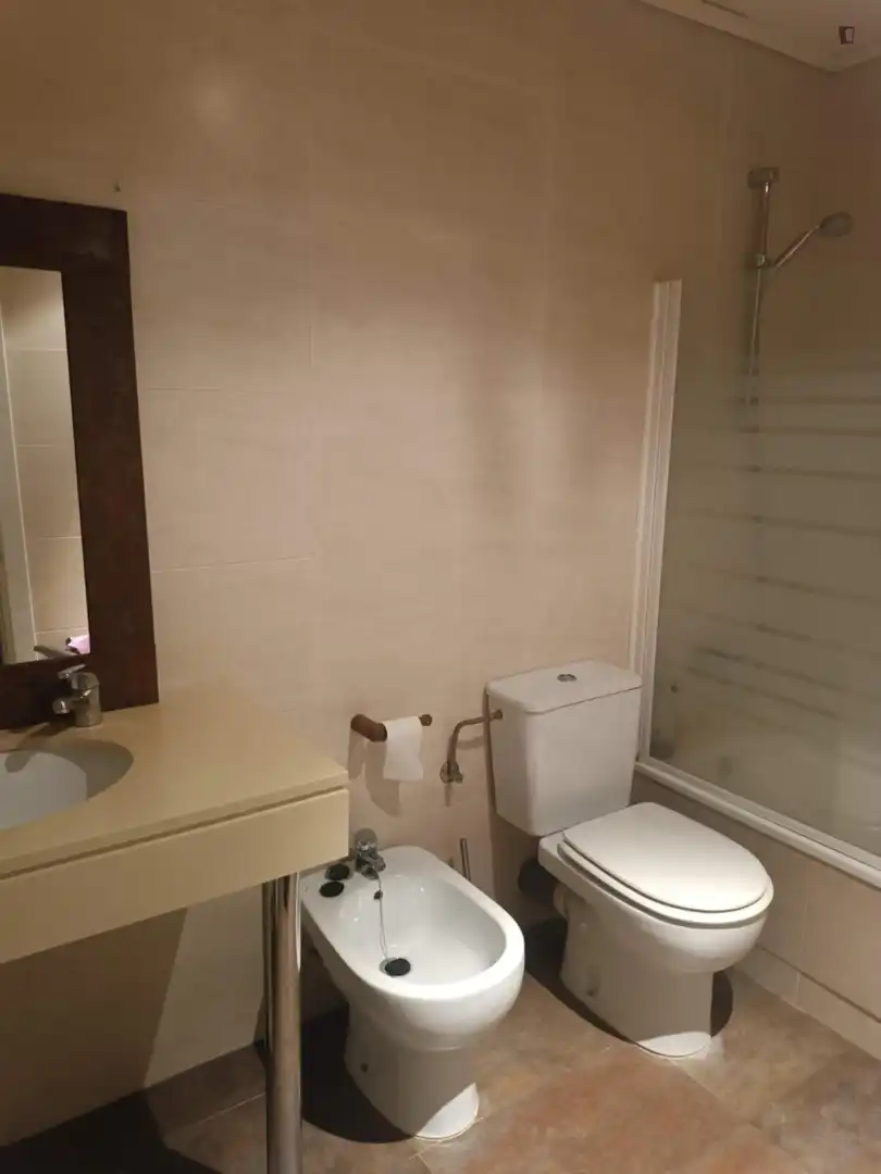 Bany de Apartament per a compartir en Cerdanyola del Vallès amb Calefacció, Moblat i Rentadora