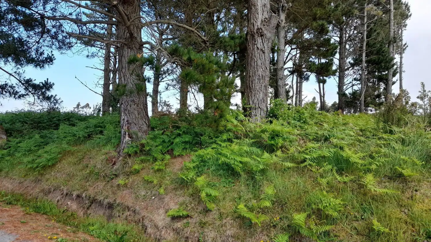 Rural land for sale in Lugar Val Arriba 3, imagen 25