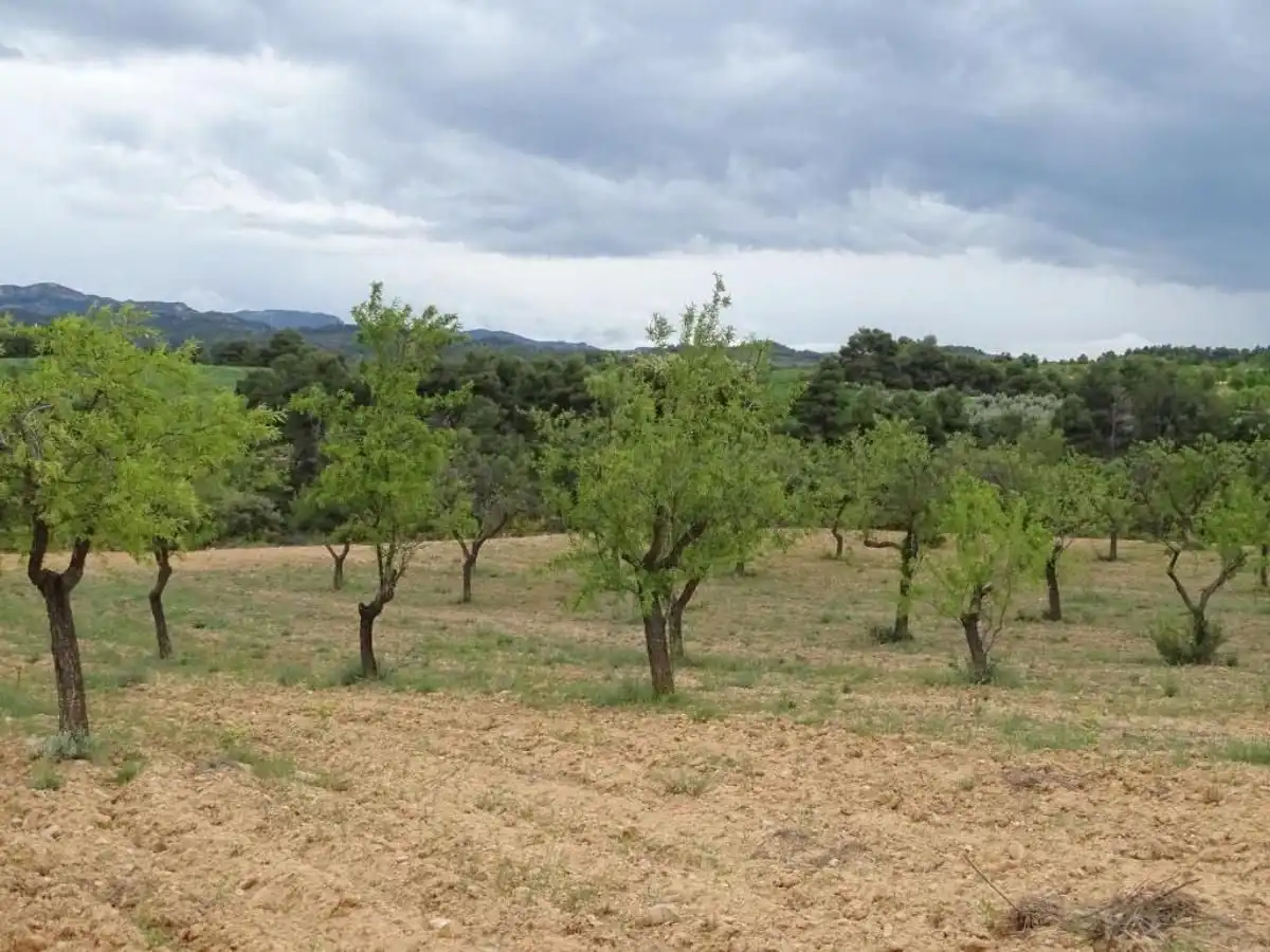 Finca rústica en venta en Cretas