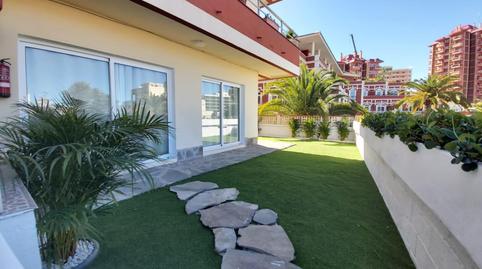 Photo 2 of Planta baja to rent in Playa Jardín, Santa Cruz de Tenerife